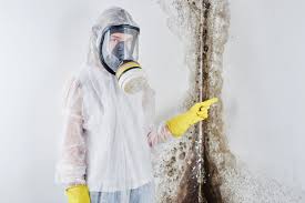 Best Air Quality Testing for Mold Spores  in Wintersville, OH